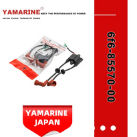 40HP E40g/J YAMAHA Outboard Ignition Coil 6f6-85570-00, 6f5-85570-00, 6f6-85530-01