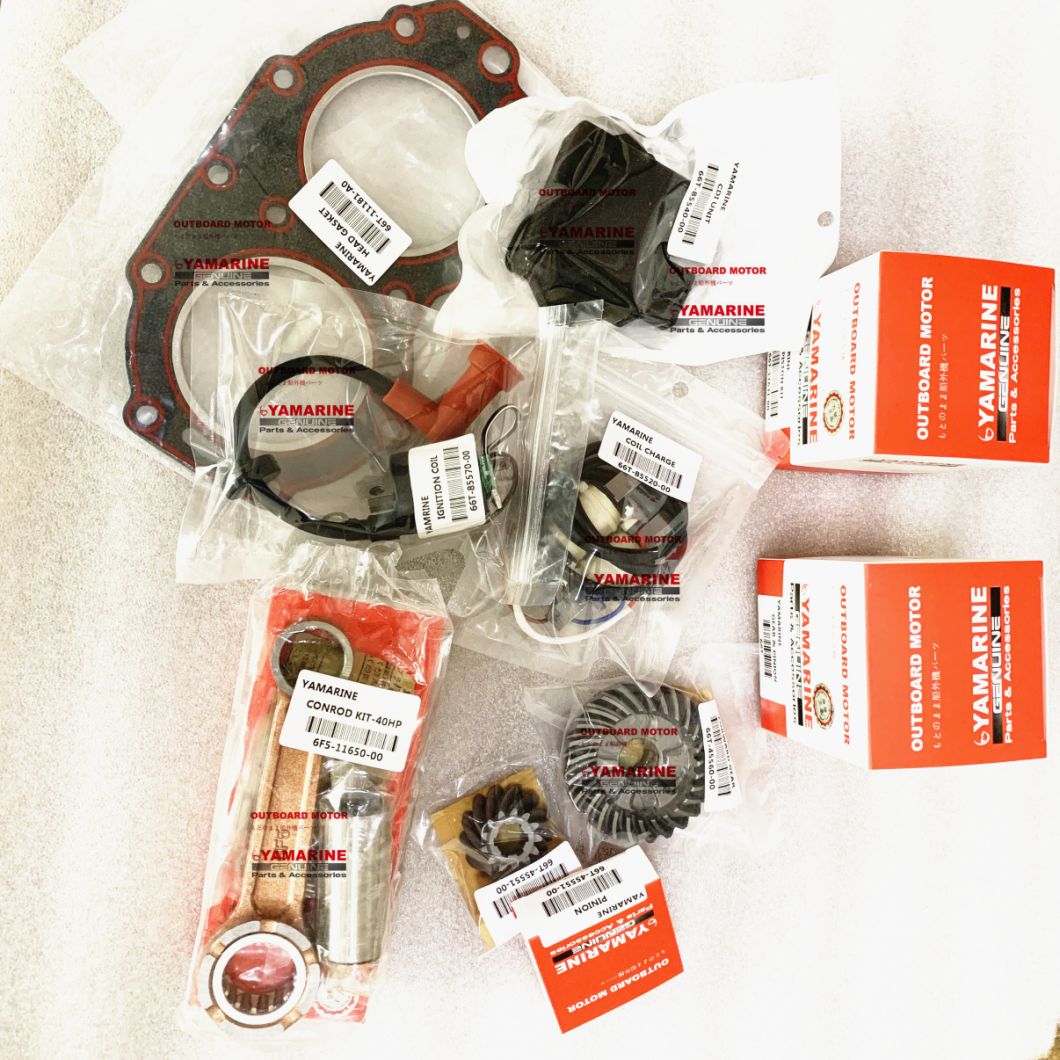 Yamarine Outboard Coil Charge 6f5-85520-10-00 for 40HP E40g YAMAHA Outboard Motor /Engine