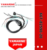 40HP E40X YAMAHA 66t-82590-20 Outboard Cdi Wire Harness Assy for YAMAHA Engine Motor