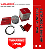 JAPAN YAMARINE 4 Stroke outboard motor piston kit with ring 65W-11631-00-96,67C-11603-00 fit for YAMAHA F25/F30/F40
